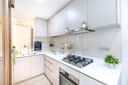 The Visionaire (D27), Condominium #480395971